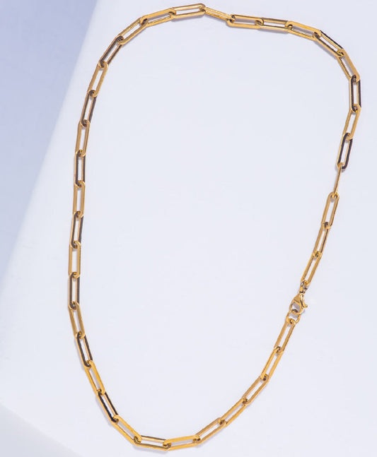Modern Muse Classic Chain Necklace
